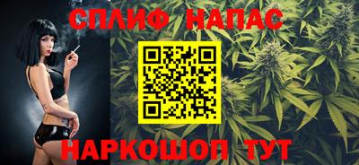 гидра Новозыбков