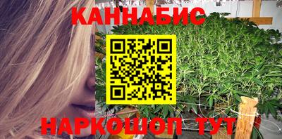 гидра Новозыбков