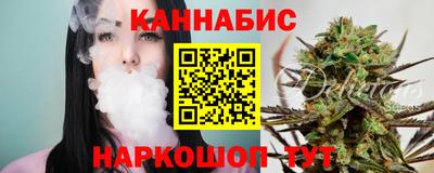 гидра Новозыбков
