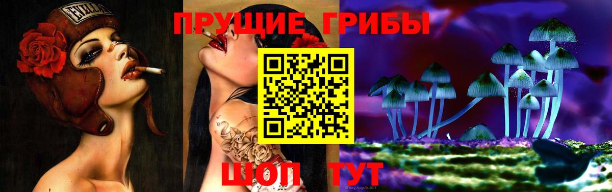 купить наркоту  Вход с VPN  Псилоцибиновые грибы MAGIC MUSHROOMS  Стрежевой  Галлюциногенные грибы мицелий 